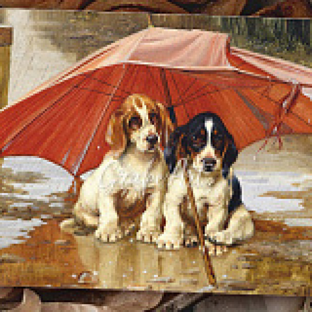 Ansichtkaart Puppy's schuilen onder Plu.