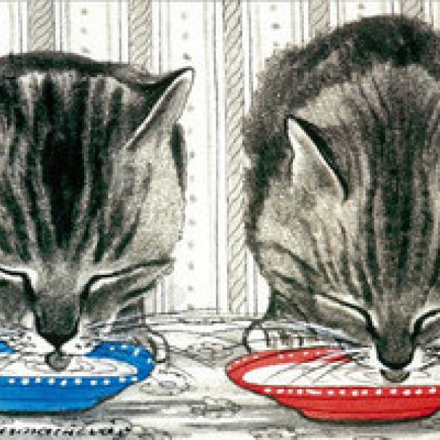 Ansichtkaart Samen aan de Melk. 