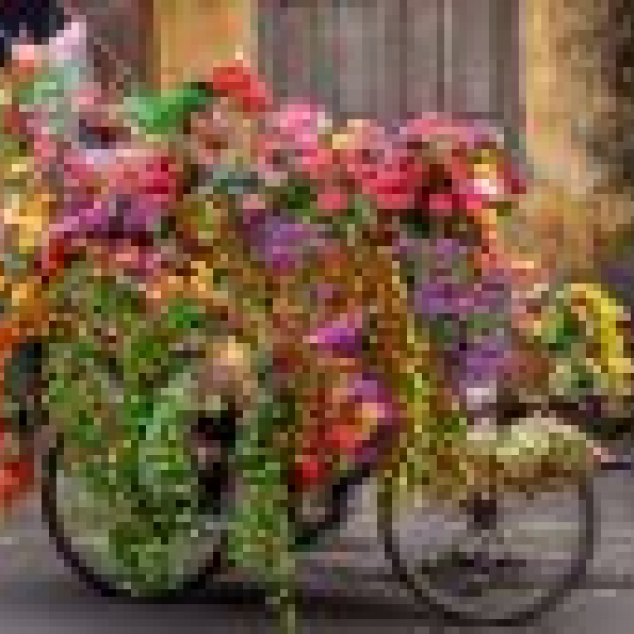 Ansichtkaart Nee joh dat past makkelijk op de fiets. 